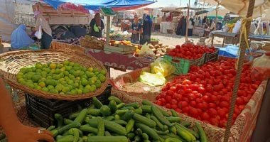 الطماطم بـ20 جنيها.. أسعار الفاكهة والخضراوات في كفر الشيخ اليوم الأحد