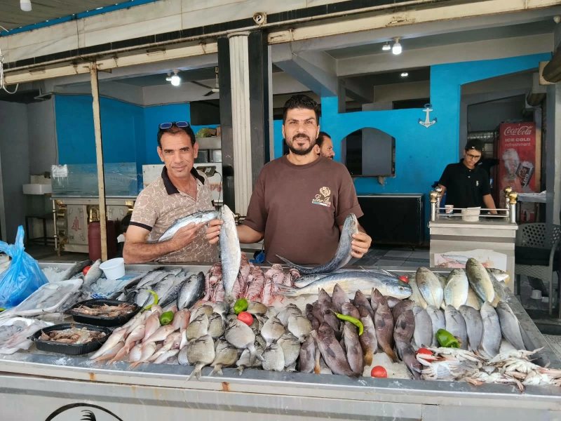 البلطى بـ90 جنيه.. أسعار السمك اليوم فى أسواق مطروح