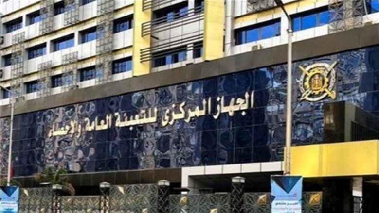 كم مكالمة خارجية شهدتها مصر خلال عام؟.. "الإحصاء" يجيب بالأرقام