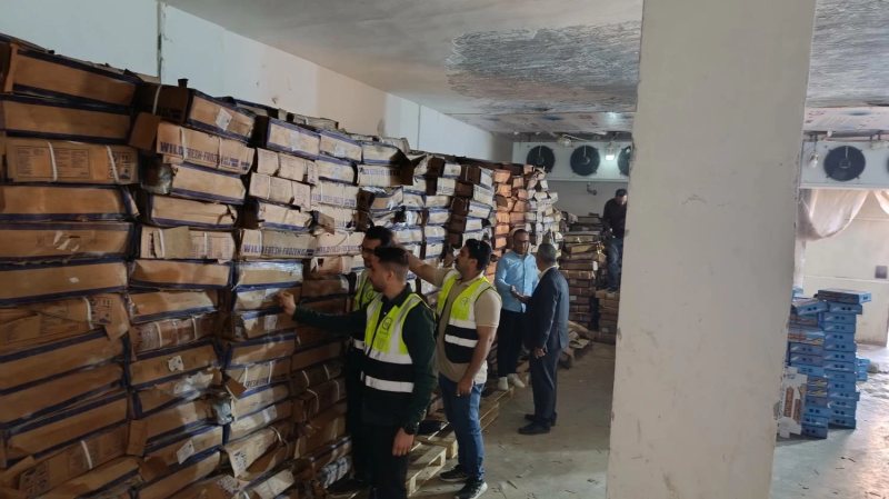 ضبط 41 طن أسماك فاسدة خلال حملة تفتيش في الغربية