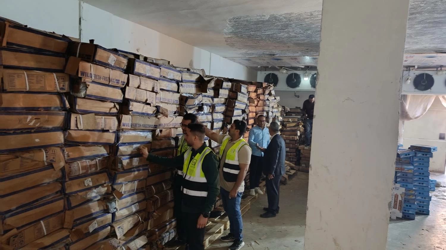 ضبط 41 طن أسماك فاسدة خلال حملة تفتيش في الغربية