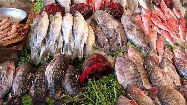 البلطي يبدأ من 90 جنيهاً.. أسعار الأسماك والمأكولات البحرية في أسواق القليوبية
