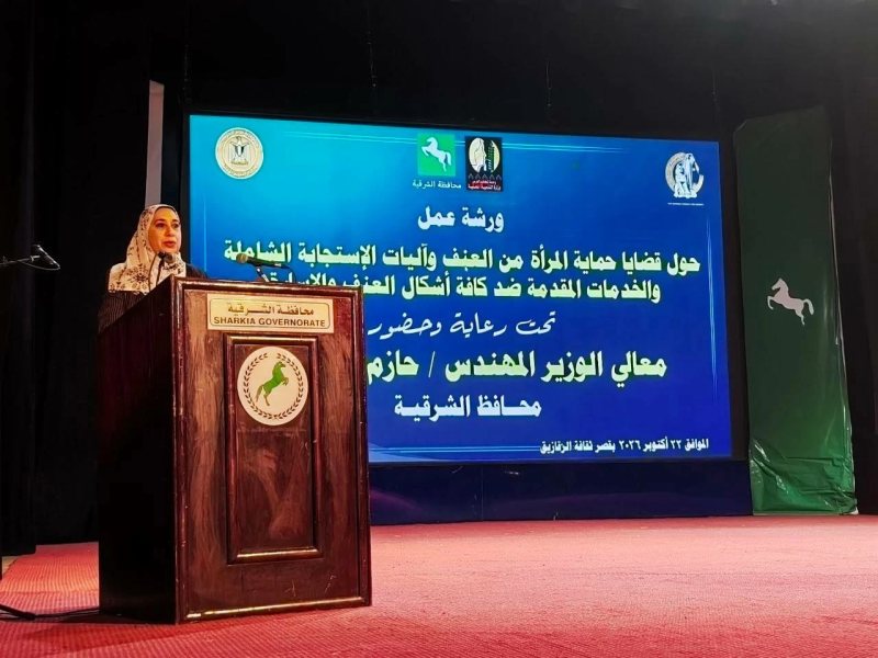 «قضايا حماية المرأة من العنف وآليات الإستجابة الشاملة» في ورشة عمل بقصر ثقافة الزقازيق