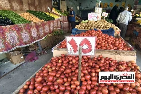 أسعار الخضروات اليوم في مطروح.. البطاطس 30 جنيهًا للكيلو