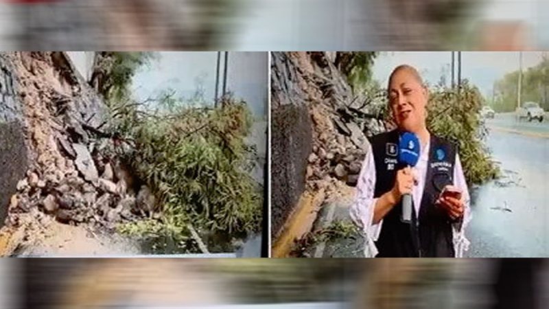 دهس مراسلة ومصور أثناء بث مباشر