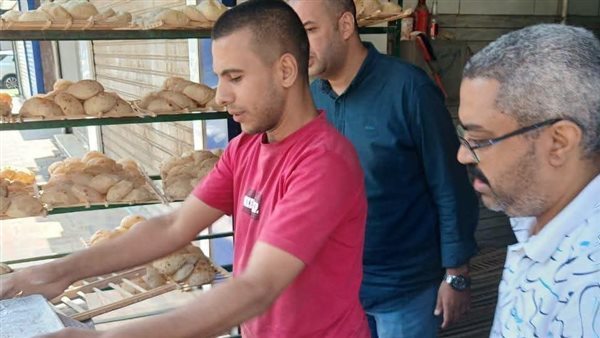 تحرير 321 محضرا تموينيا وضبط سلع غذائية وأدوية ومبيدات مخالفة بالمنيا
