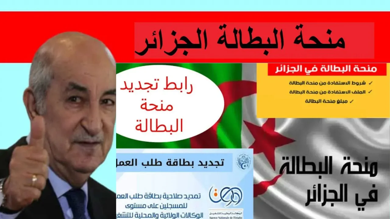 تجديد منحة البطالة الجزائر 2025